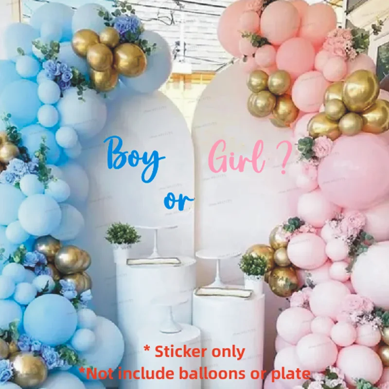 Gender Reveal Party Vinyl Stic - đánh giá và giá Baby Girl Nursery Quotes