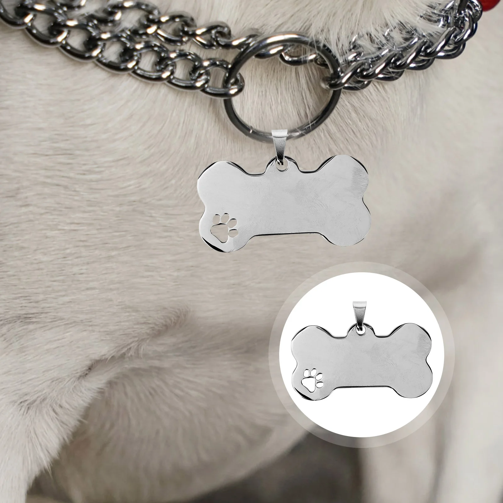 10 Pcs Dog Tag Pet Engraving Tags Engraved for Pets Pendant Identification Name Dogs Metal Cute Bone