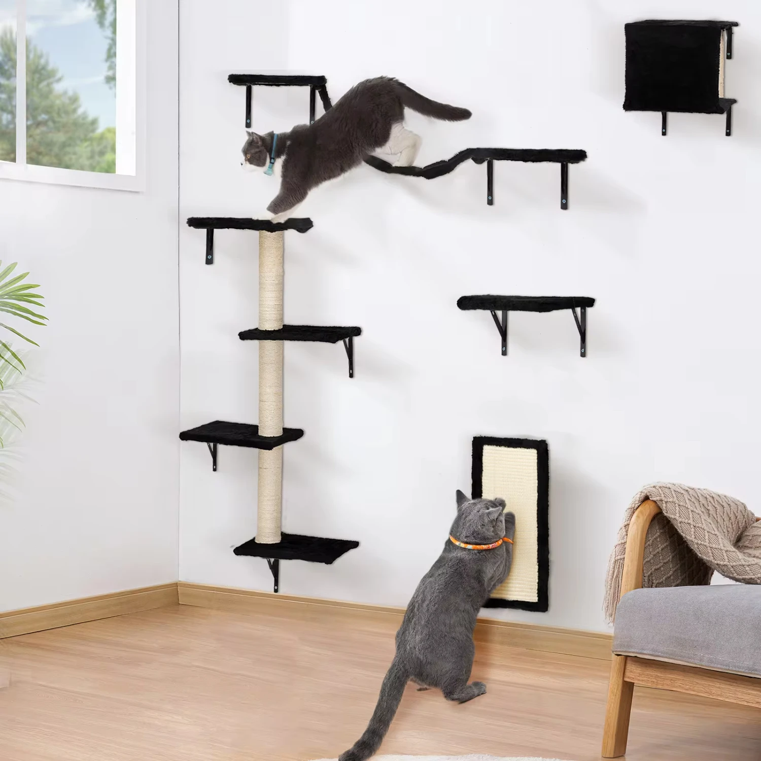 

New Cat Wall Shelves, Wall-Mounted Cat Climber Set of 5, Floating Cat Perches, Cat , Black