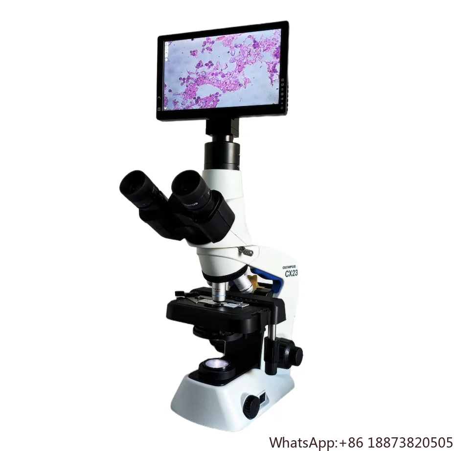 

Infinity Optical System Olympus Digital Biological Binocular/Trinocular Microscope Cx23/CX33/CX43 With Low Price Supplier