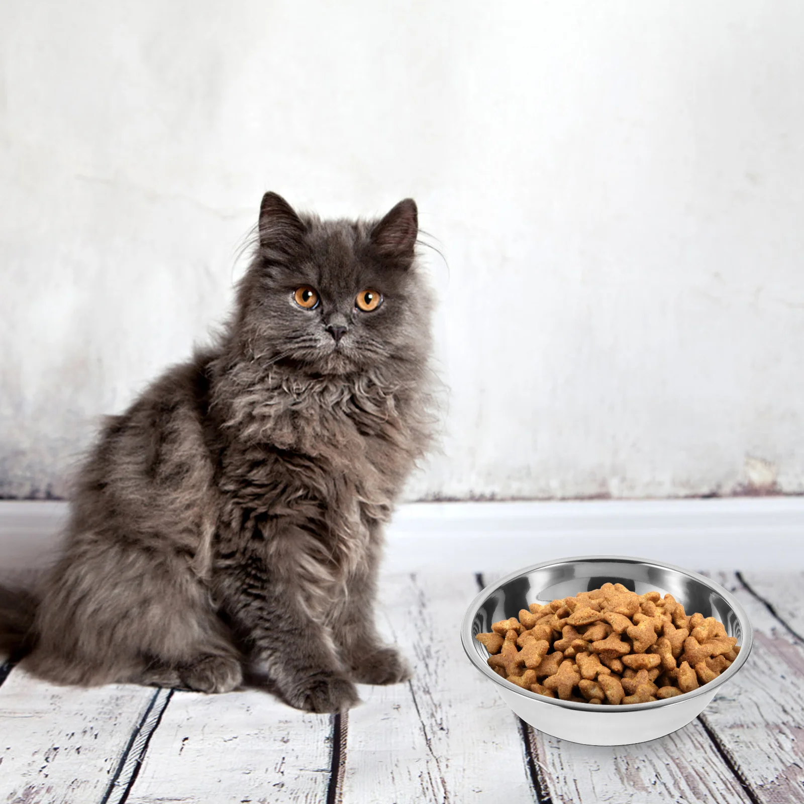 

5Pcs Pet Bowl Stainless Steel Dog Feeder Heavy Duty Non Tip Food Container for Puppy Kitten Indoor Use Dishwasher Safe