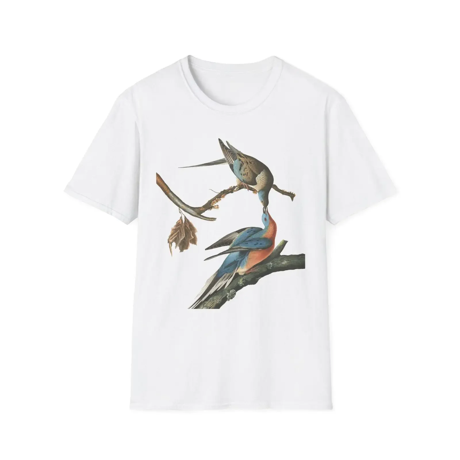 Vintage Audubon Passenger Pigeon Print Softstyle T Shirt Casual Cozy for Wildlife Bird Lover Extinct Species  vintage Washed