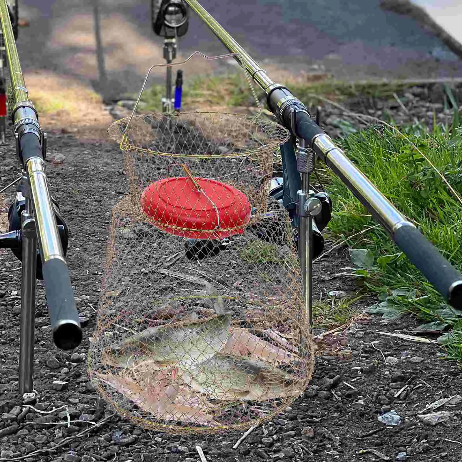 

Fish Basket Fishing Mesh Netting Nets Wear-resistant Iron for Protecting Reusable