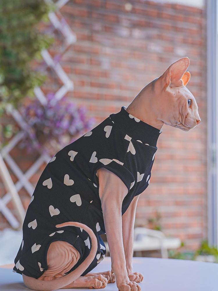 Black Fleece Coat for Sphynx Cat Clothes Summer Spring Loving Heart Soft Sweatshirt  For Devon Rex Cartoon T-shirt For Kittens