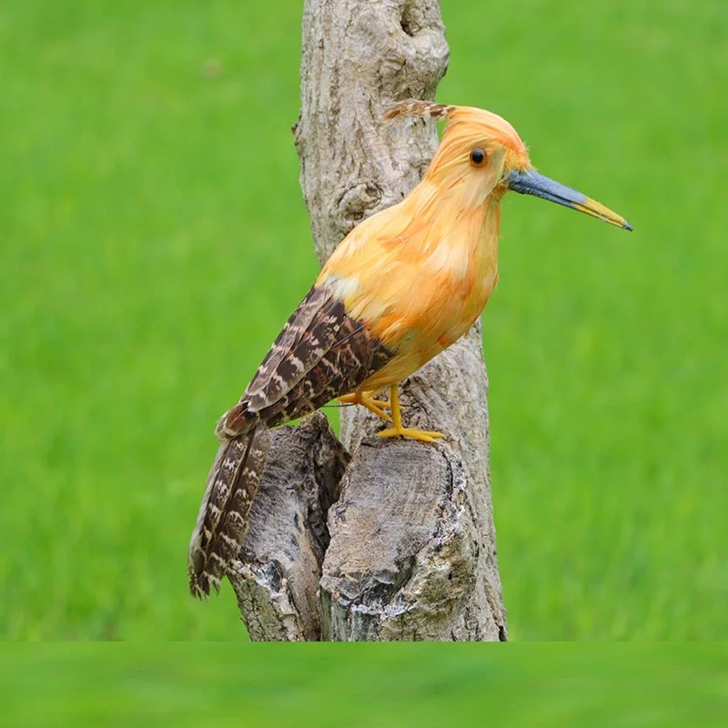 

new real life foam&feather hoopoe model Ornaments home garden decoration gift about 30cm d0277