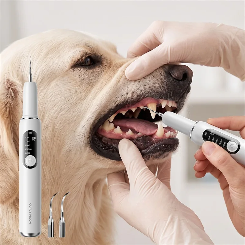 Zahnsteinentferner für Haustiere, Ultraschall-Reiniger, Zahnreinigungsset für Hunde, Entfernung von Zahnstein, Flecken und Ablagerungen, Zahnpflege für Hunde – Detail 3