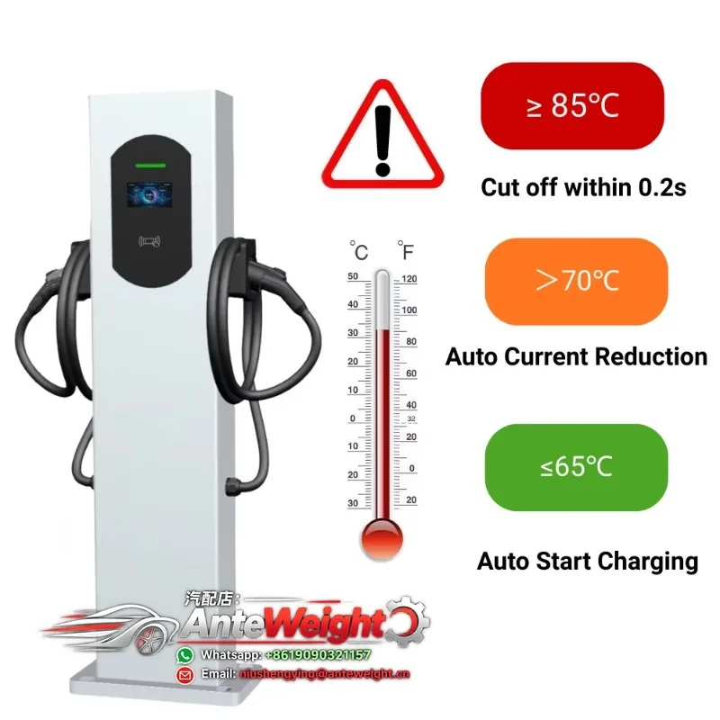 Customize New Commercial EV Charging Station AC 44kW Dual Gun EV Charger Type2 GB/T for Electric Vehicles