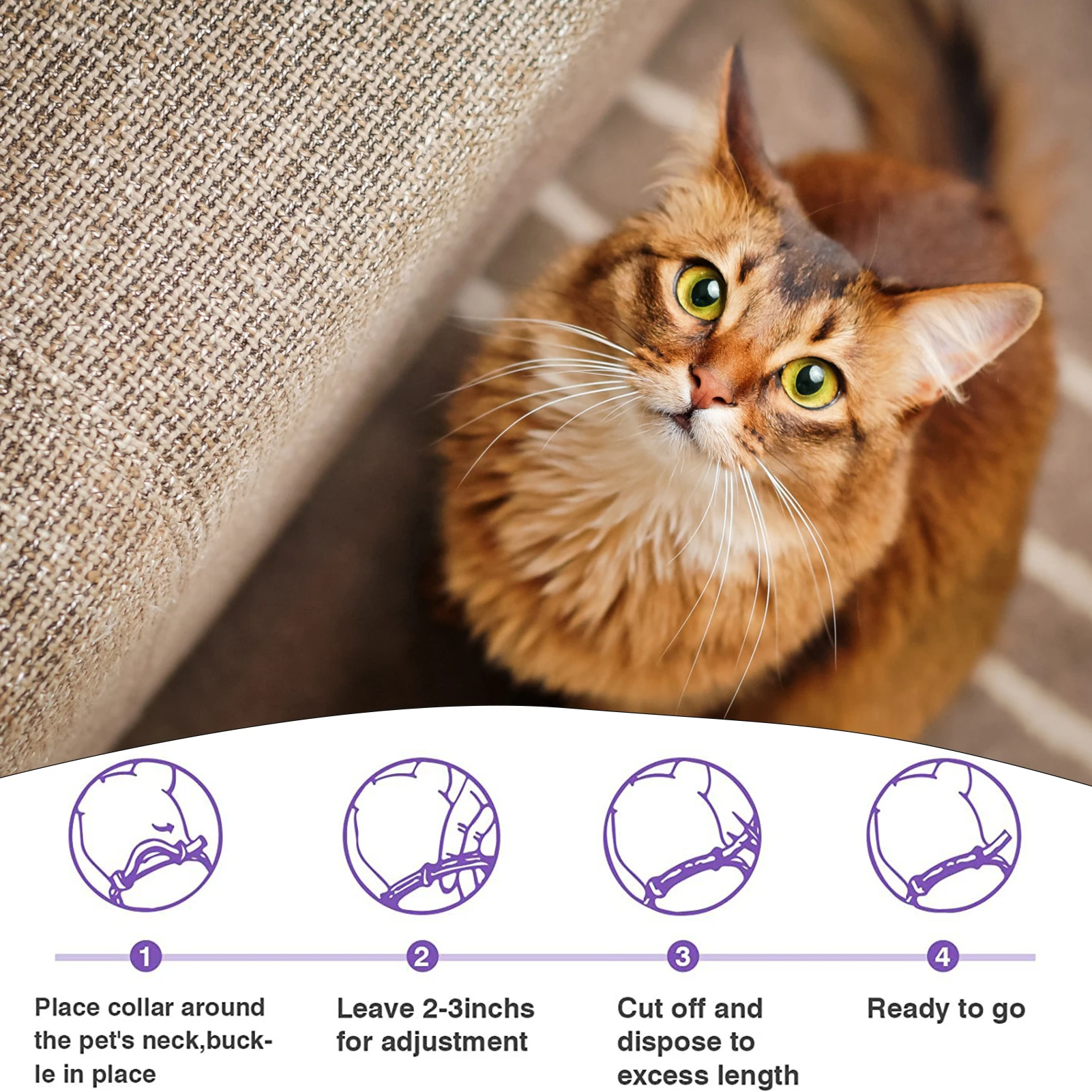 4pcs Pheromone Cat Calming Collar Relieve Stress and Anxiety Calming Collar for Small Medium and Large Cats xobw