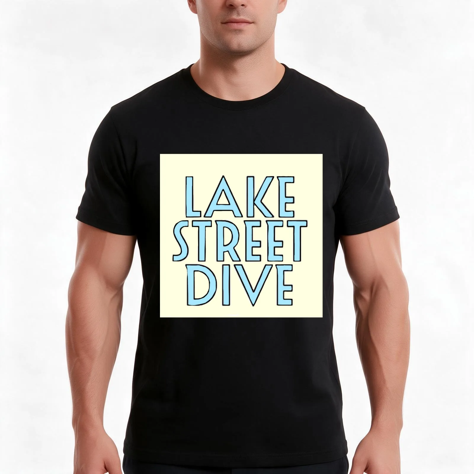 Lake Street Dive T-Shirt, Summer Casual Cotton Tee, Oversized Streetwear Tops, Vintage Graphic Print, Loose Fit Short Sleeve