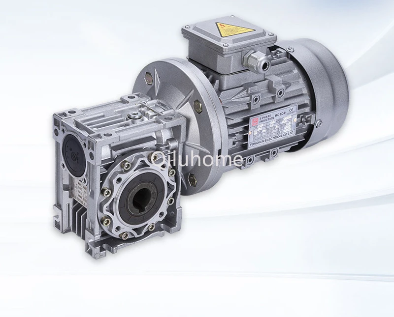 

Rv110 RV Reducer Torque Large Hollow Shaft Worm Gear Reducer