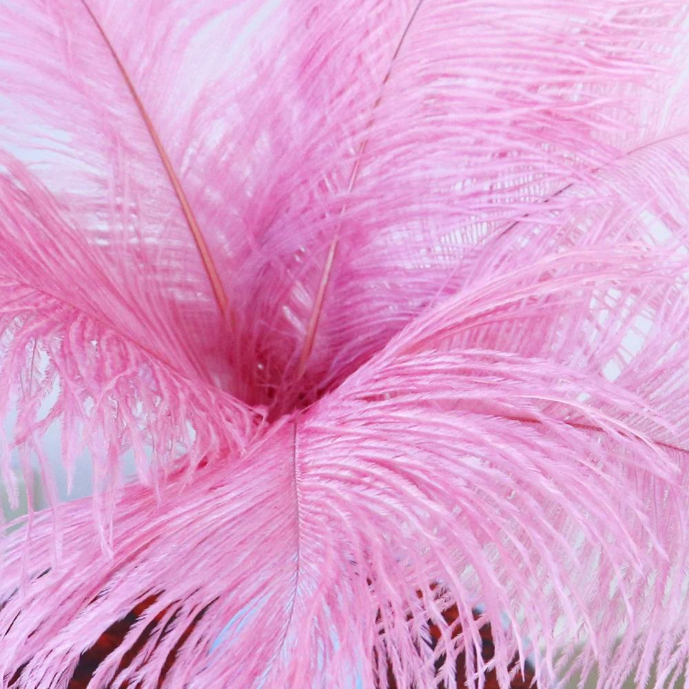 10 Pcs Pink Ostrich Feather Plumes 20-40cm Large Long Single Strand for Carnival Headdress Wedding Backdrop Photo Booth Props
