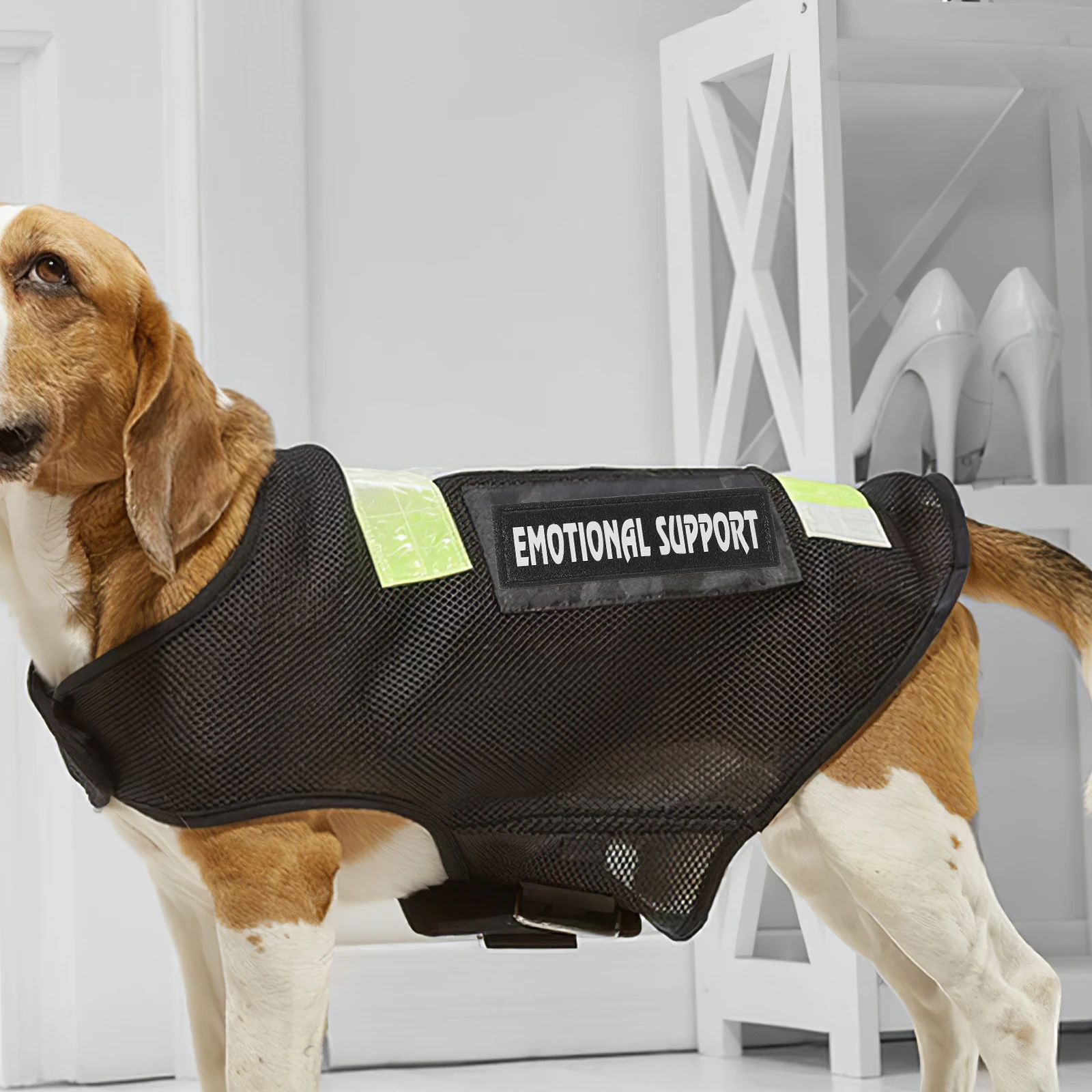 

Pet Harness Patches Removable Tags Reflective Dog Vest Patch Service Night Glow Quality Simple Practical Use Walking Dog