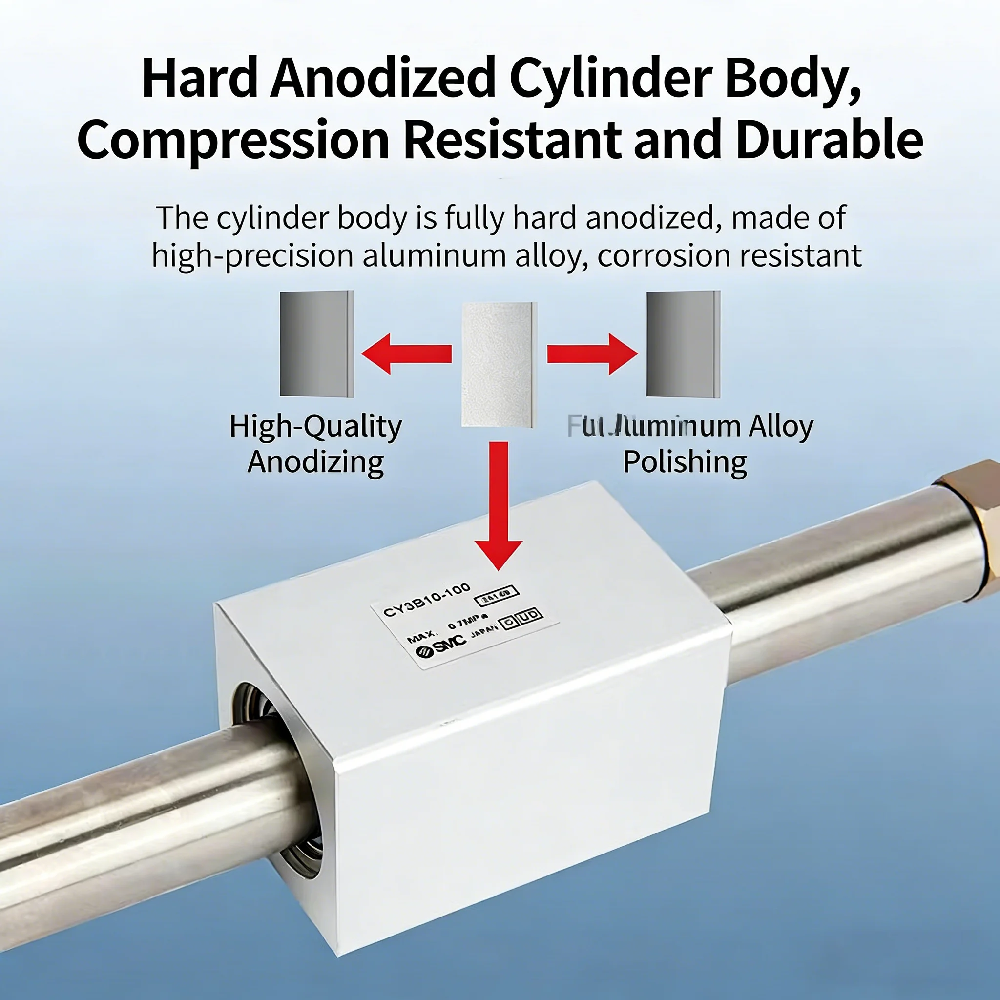 RMS Magnetic Couple Rodless Cylinder RMS10/16/20/25/32/40/50-100-200-300/LB