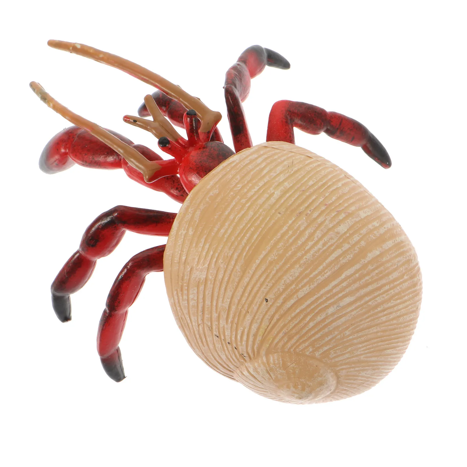 

Реалистичная имитация краба-отшельника: пластиковая фигурка морского животного для обучения и декора рабочего стола, с ярким и естественным визуальным эффектом