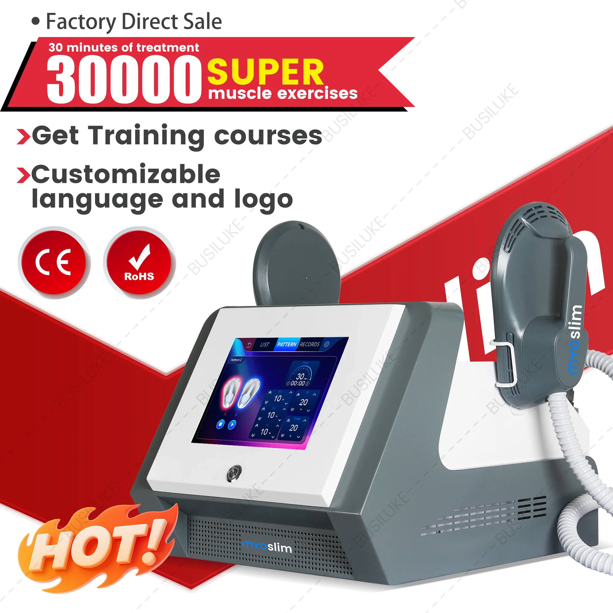 6500W Ems Professio…