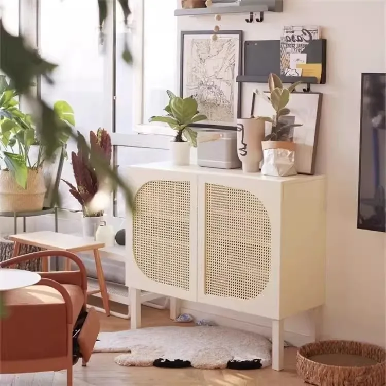 

Storage Nordic Living Room Cabinets Decor Wood Entryways Closet Living Room Cabinets Sideboards Bookcase Vitrina Home Furniture