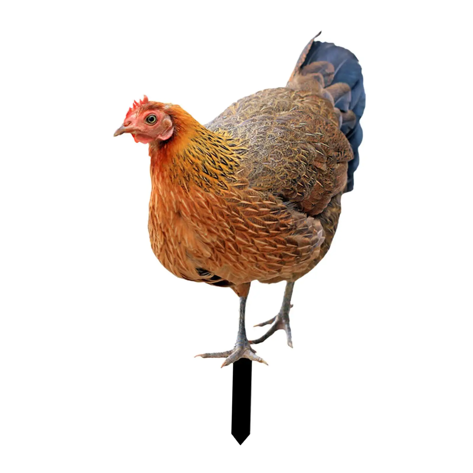 Hen Shape Garden Stake Realistic Decorative Patio Stakes Yard Art Gifts Garden Ornaments for Backyard Spring Porch Lawn Garden