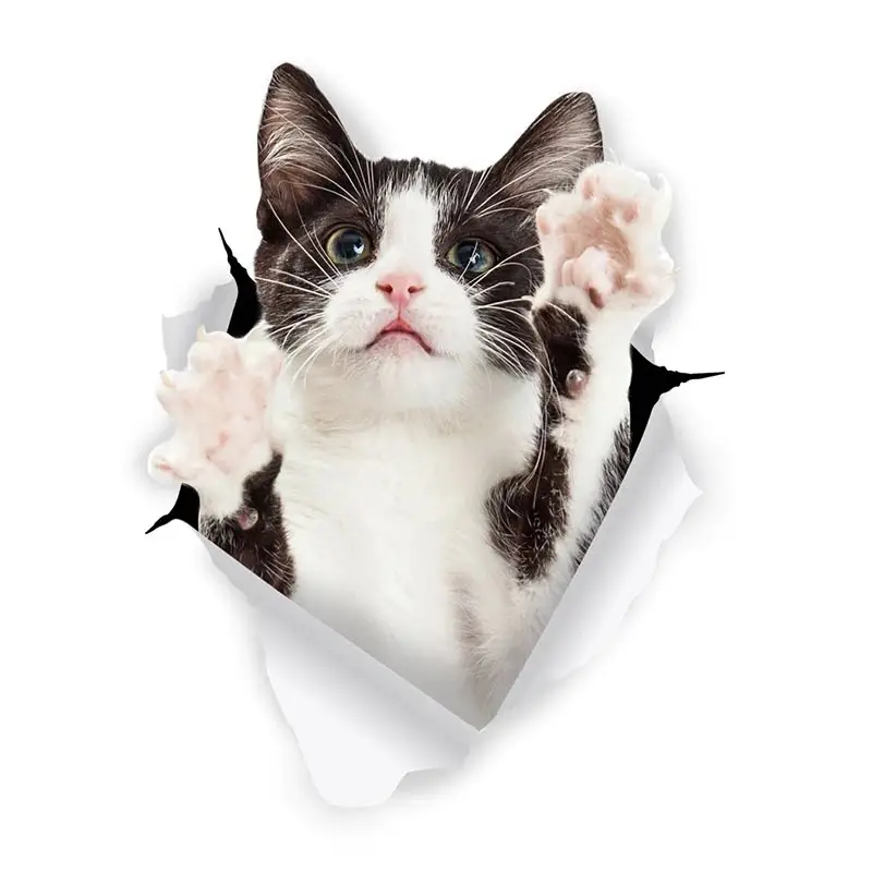 M458 Katze Aufkleber Breakout Siamese Wandaufkleber Home Dekoration Toilette Aufkleber für Schlafzimmer Küche Wohnzimmer Wände Dekor – Detail 1