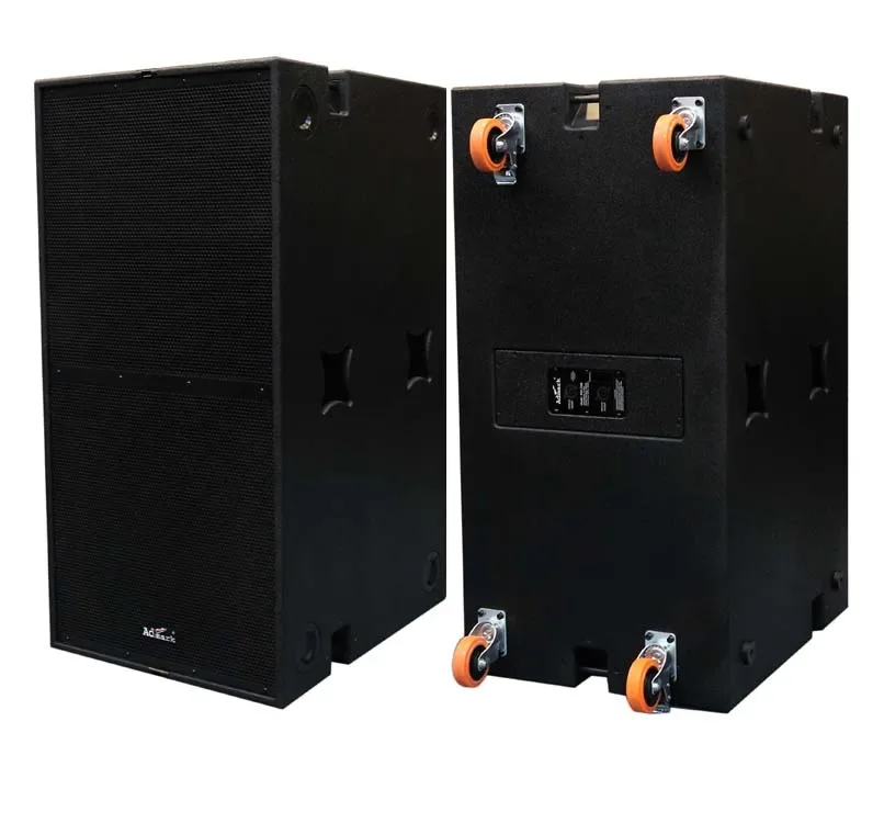 

Professional Audio 18 Inch Subwoofer