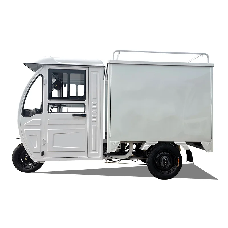 EEC COC Closed Electric Tricycle E Trike with Closed Cabin and Rear Box