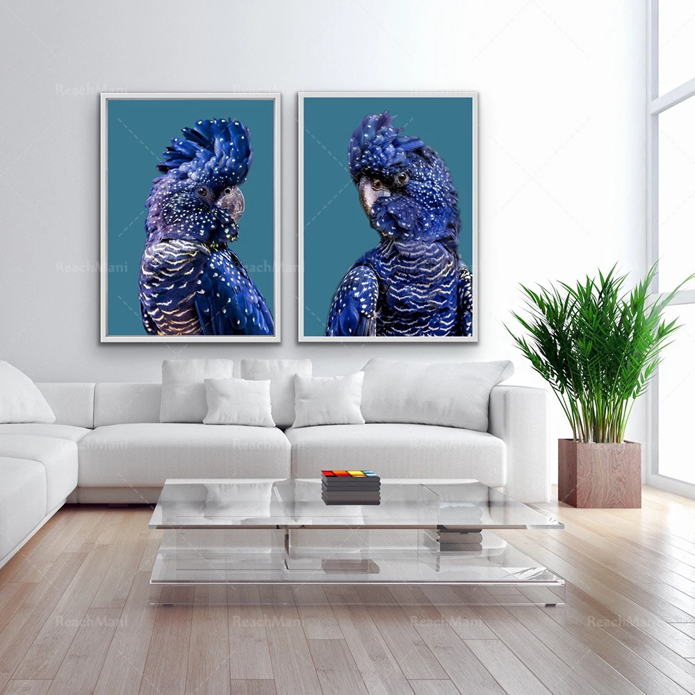 Cockatoo, Blue Parrot, Black Cockatoo - Teal Kookaburra Hamptons Australian Birds Nature Wall Art Canvas Print Poster