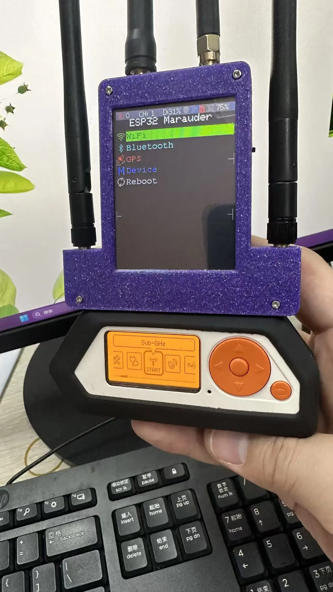 Para MóDulo Externo… - image