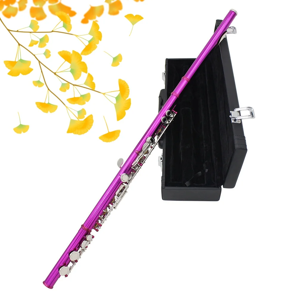 16 Holes C Tone Multi‑Color Flute Closed Hole Woodwind Instrument For Kids Adults Beginner Practice Stage Performance