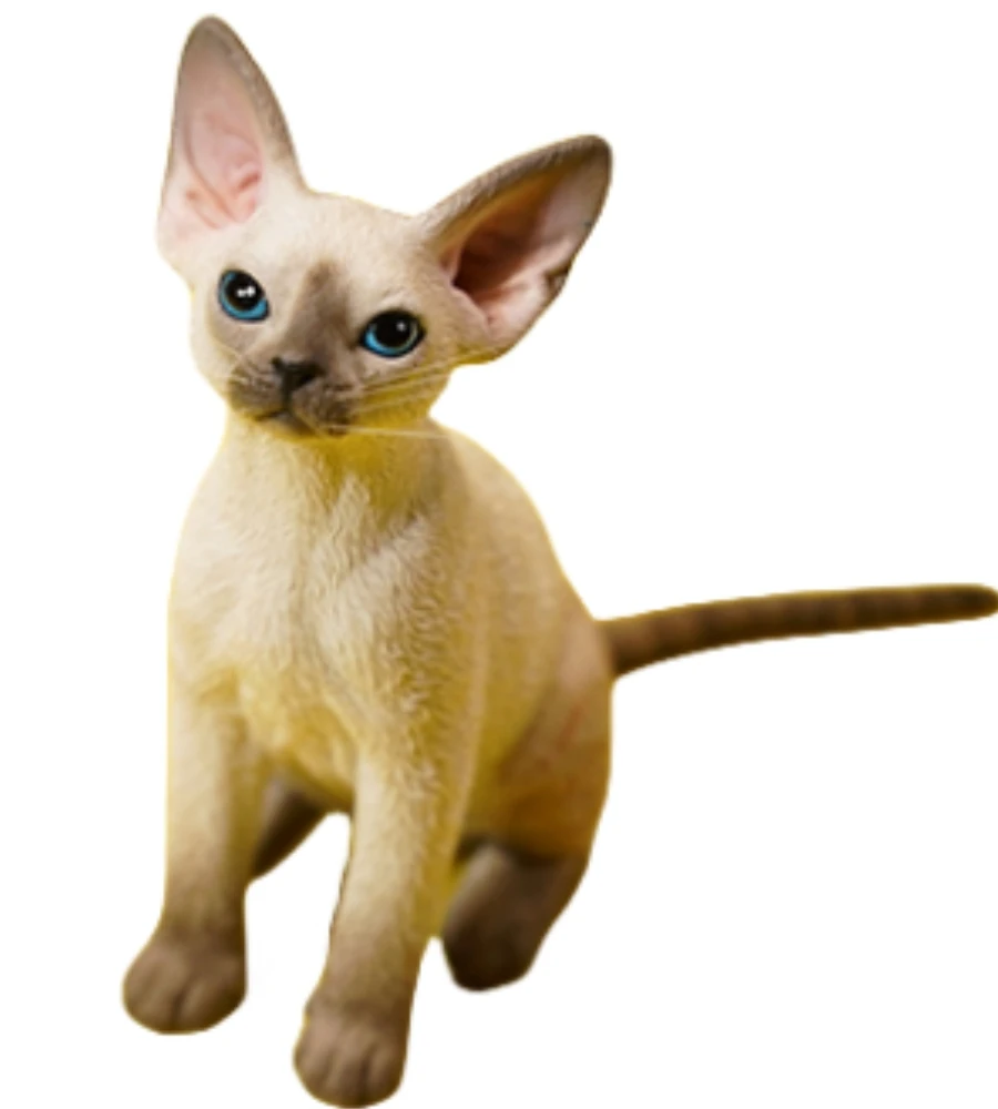 

HiPlay JXK Cat Deon Rex Expertly Hand-Painted Lifelike Safe Resin 1:6 Animal Figurine