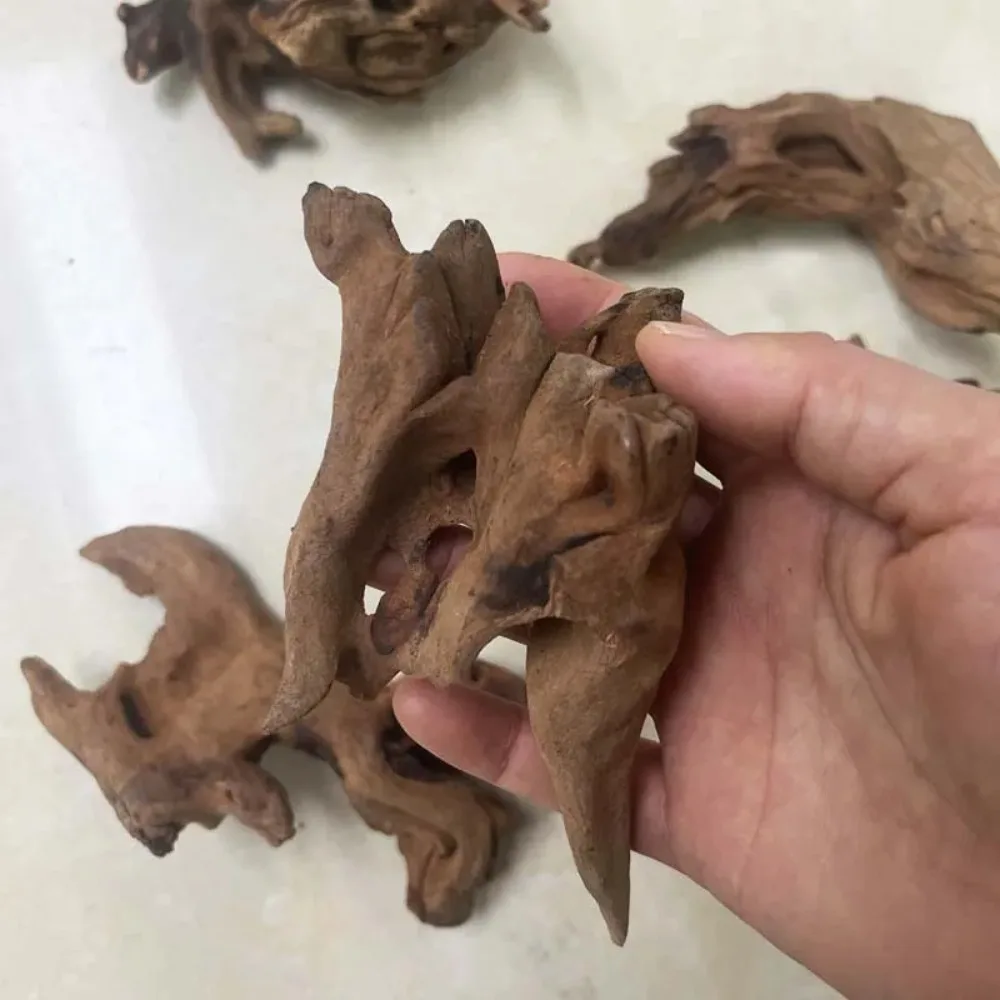 Thumbnail 3 - #7 Ranked Decorative Aquarium Plants Picks in 2026