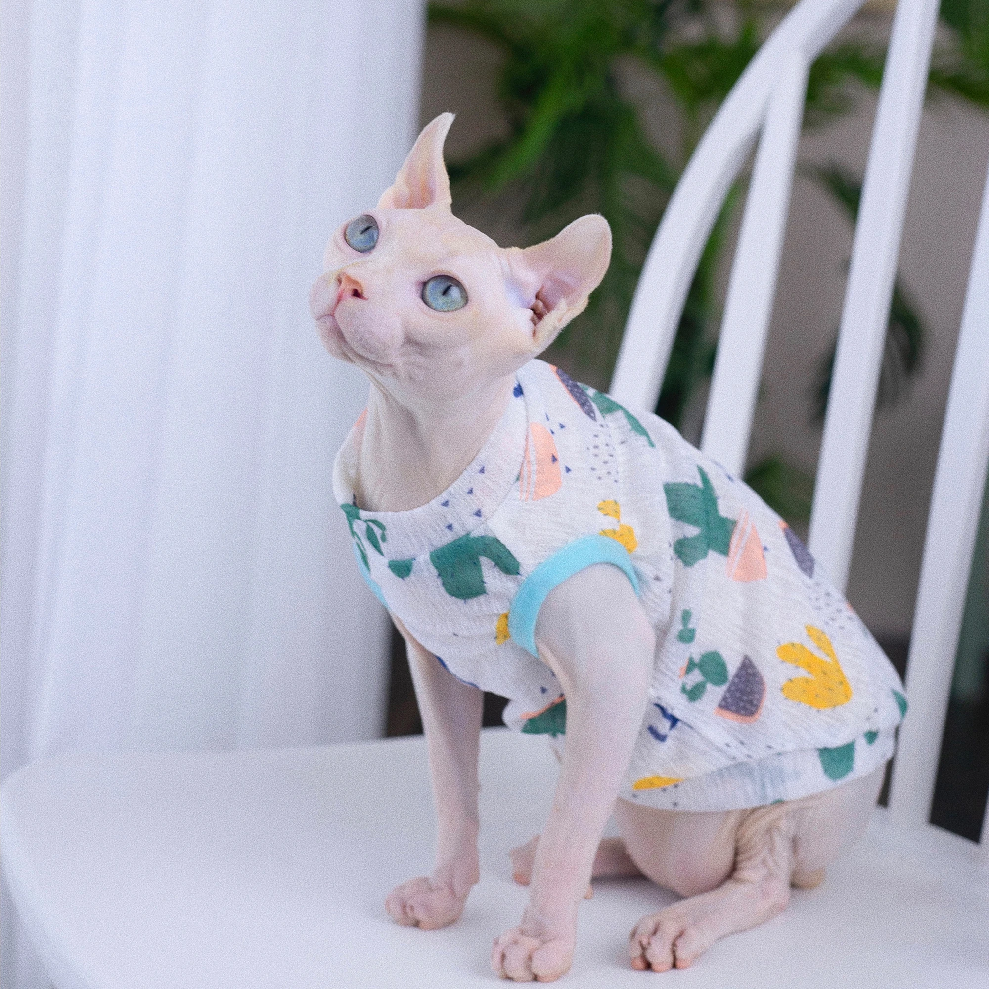 Beathable Thin T-Shirt for Sphynx Cat Summer Soft Cotton Sleeveless Vest for Kittens Cool Loungewear for Devon Rex Cat Supplies