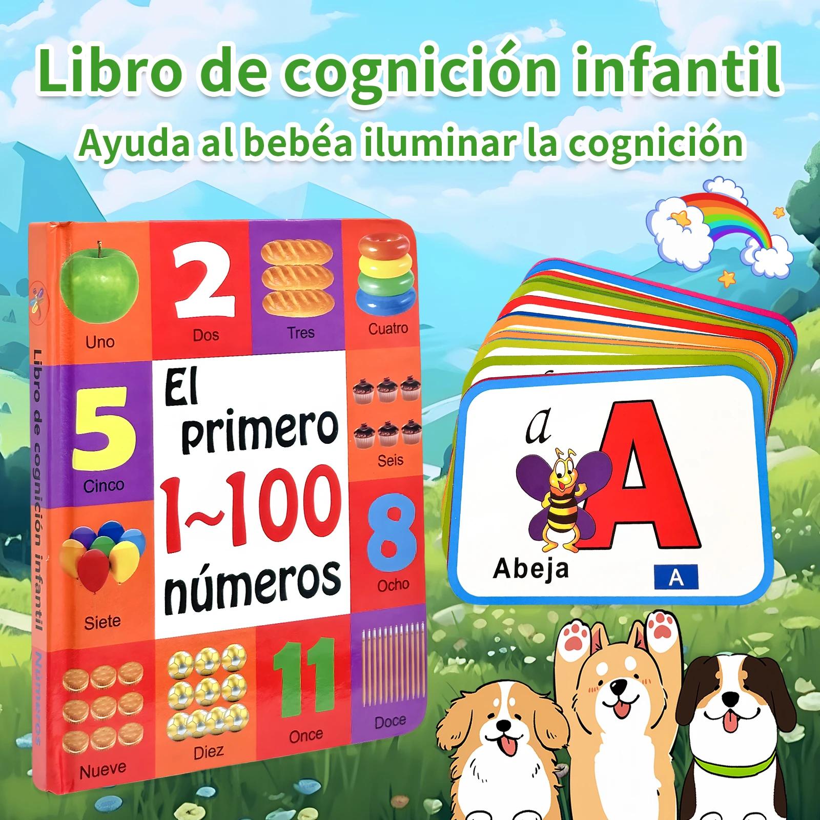 Giocattolo educativo luminoso  - Kids Education Number recensione e prezzo
