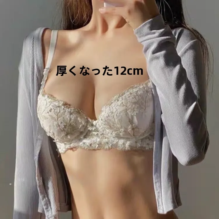 sexy-lace-embroidery-thiened-women's-underwear-small-chest-gathered-appearance-side-breast-collection-viy's-seeto-bra-set
