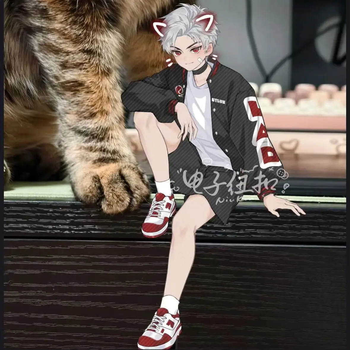 أنيمي الحب والفضاء العميق زين سيلوس كزيفير رافاييل تأثيري الكرتون الاكريليك لوحات قائمة سطح المكتب حلية جمع هدية