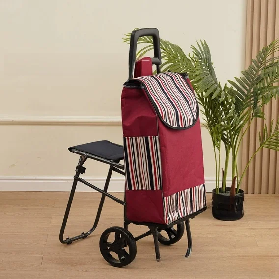 carrello-della-spesa-per-anziani-con-sedile-carrello-pieghevole-in-acciaio-inossidabile-portatile-per-la-spesa-di-verdure