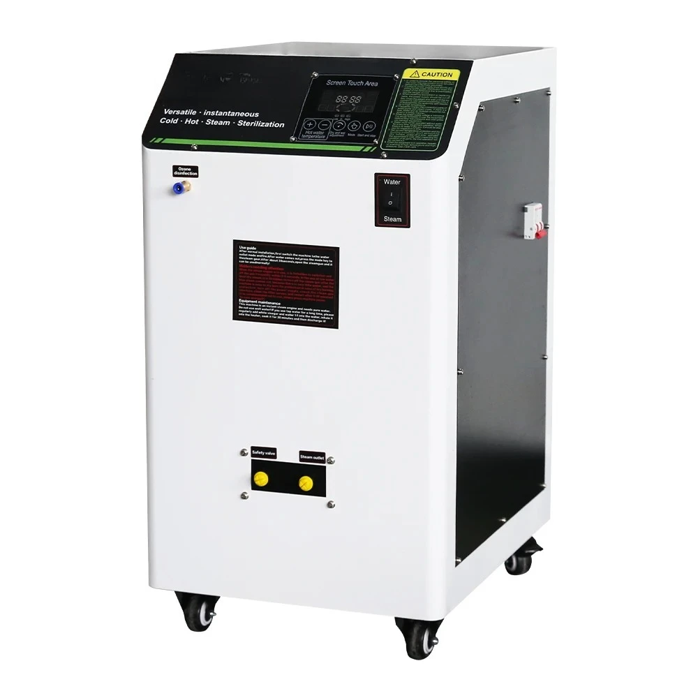 220V Electric High Temperature Steam Cleaning Machine Heavy Oil Washing Removal Hot Water Dry Wet Steam Car Wash Equipment