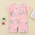 pink rabbit