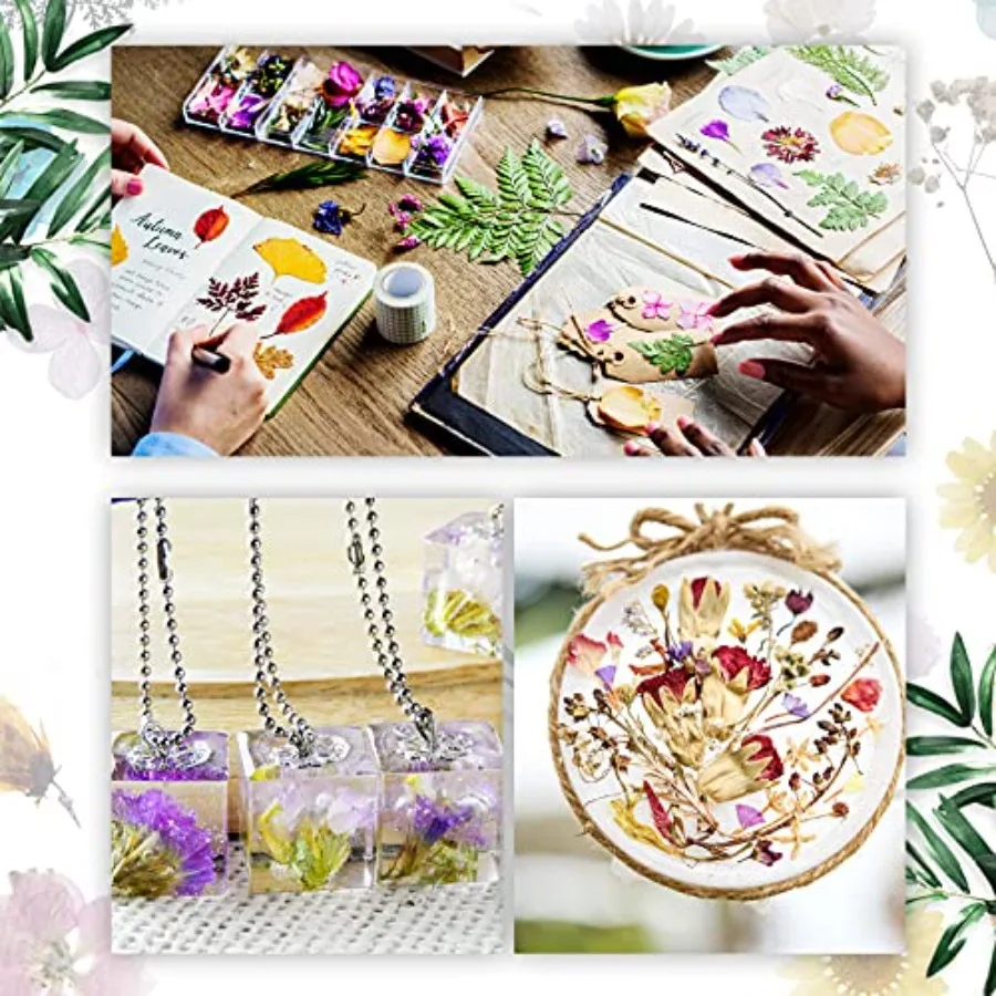 Nuanchu 200 قطعة من الزهور والأوراق المضغوطة المجففة الطبيعية من الراتنج أوراق الزهور المجففة الحقيقية المختلطة مع الملقط لعلبة المجوهرات ذاتية الصنع