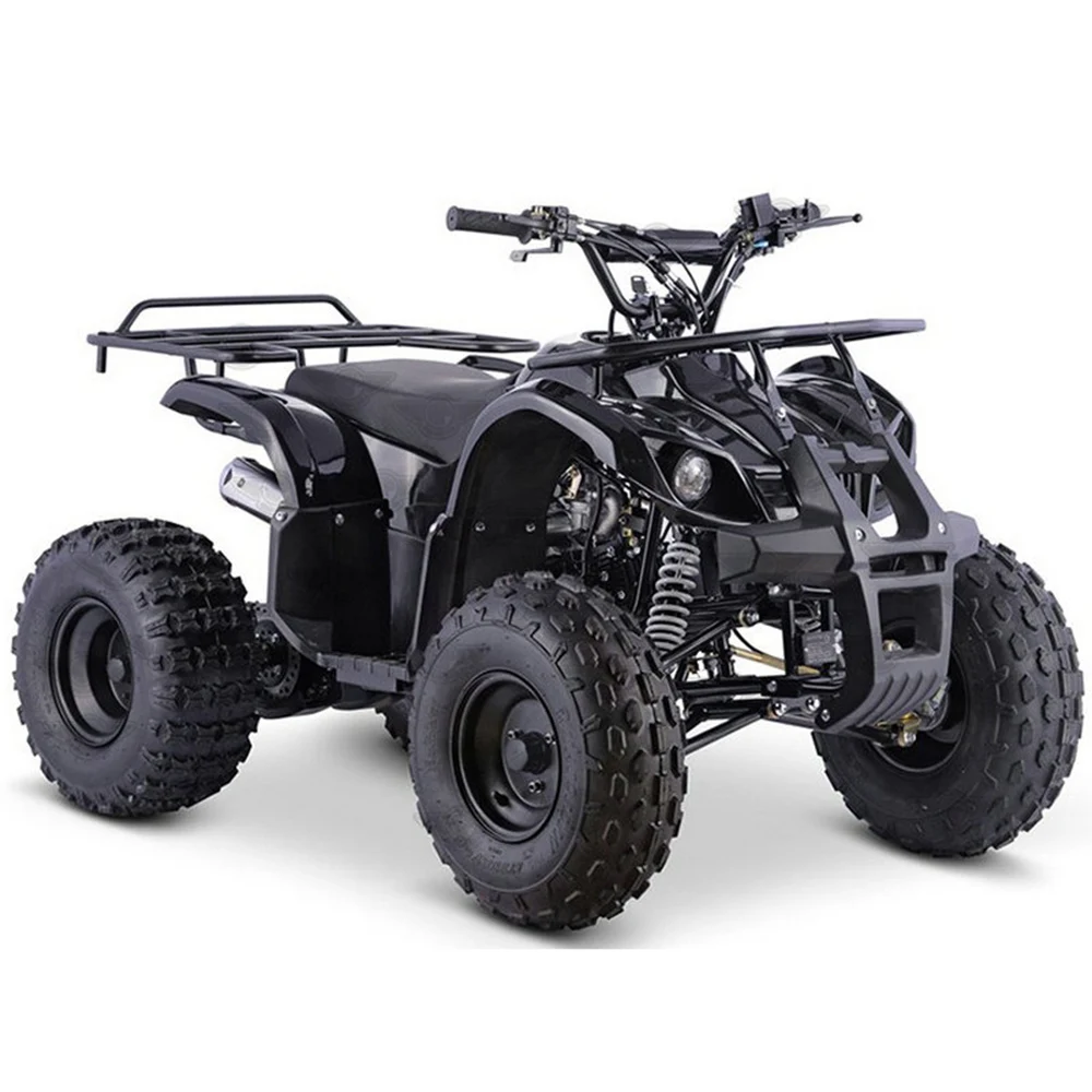 

High Quality 49cc 4 Wheel Gasoline Bike Hand Pull Plastics Mini Atv for Kids