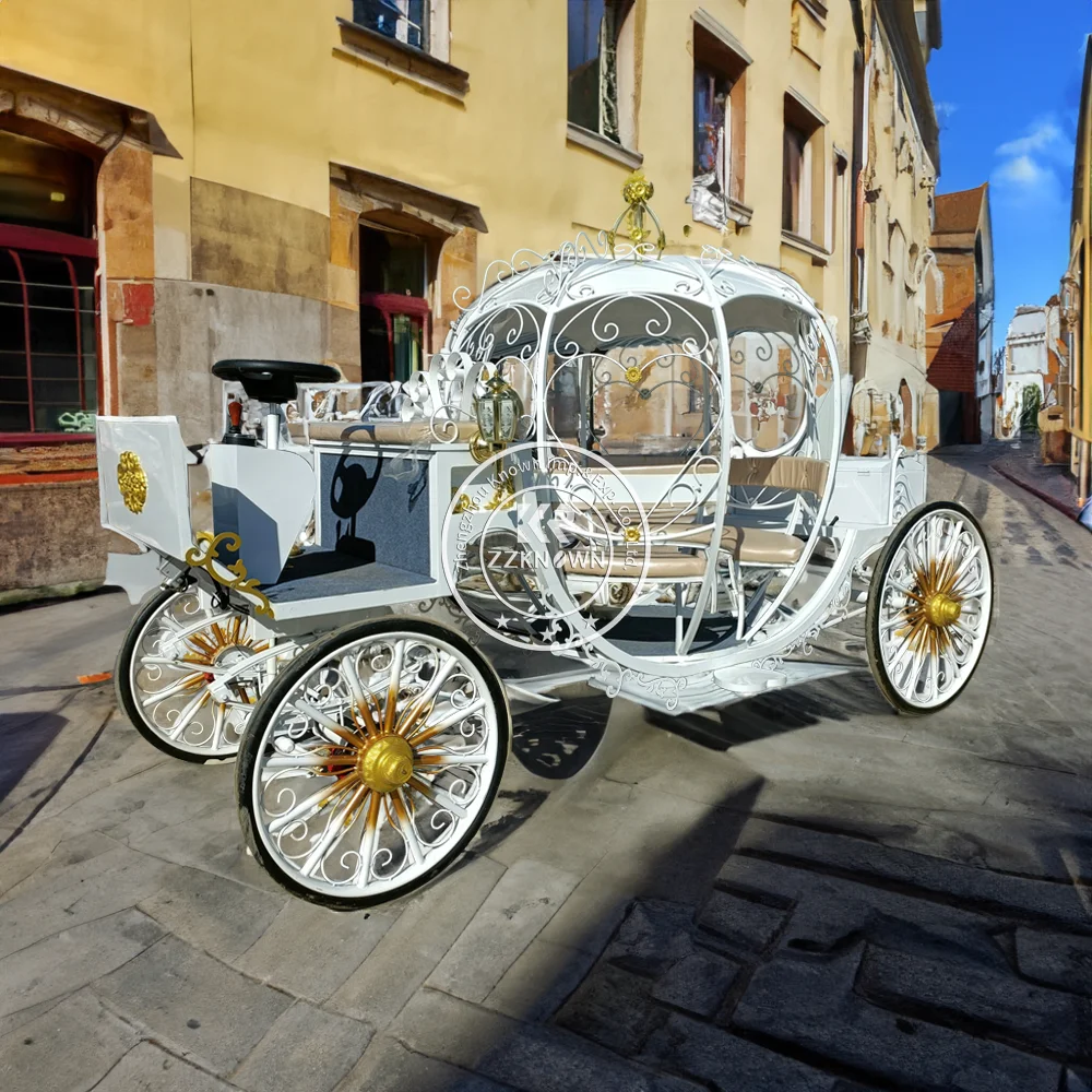 

Luxury Customized Cinderella Pumpkin Carriage Customized Vintage Royal Horse Drawn Pumpkin Carriage For Princess Theme