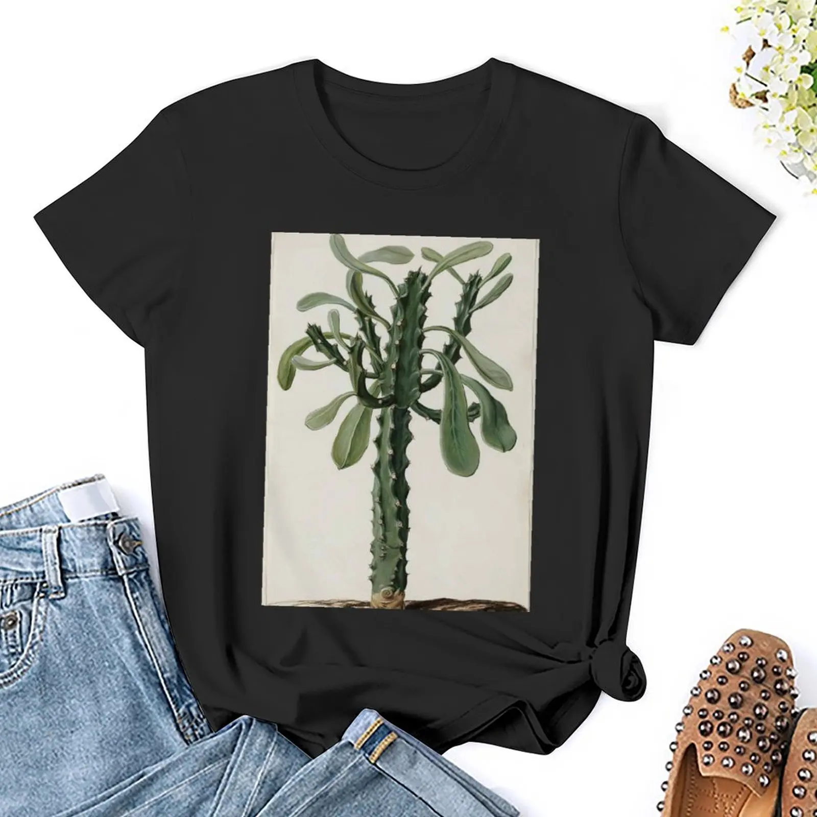 Euphorbia by Jan Moninckx T-Shirt summer top anime clothes funny graphics luxury designer clothing Women