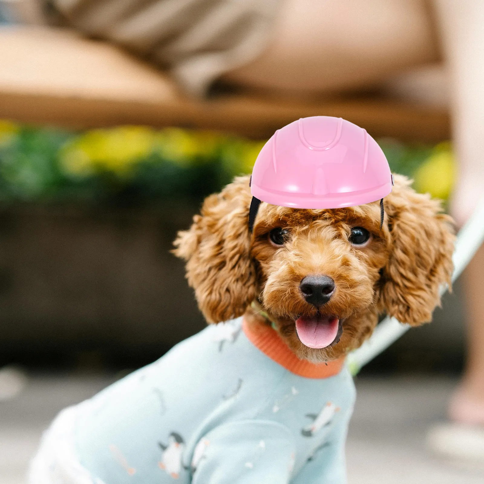 Small Dog Adjustable Pet Safet - Motorcycle Gear For Dogs review and price