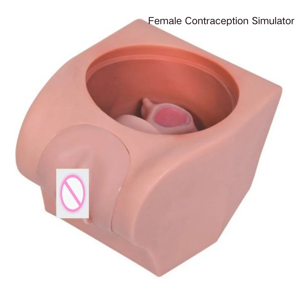 

Female Contraception Practice Simulator Medical Science contraception guidance education Skill Operation IUDsTraining Model Supp