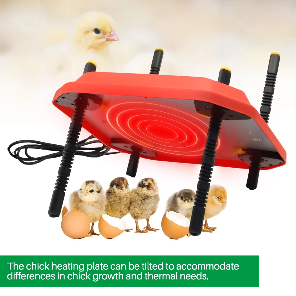 Electric Chick Brooder Heating Plate Adjustable Height Chick Chicken Warmer Adjustable Chick Coop Heater Temperature Controller
