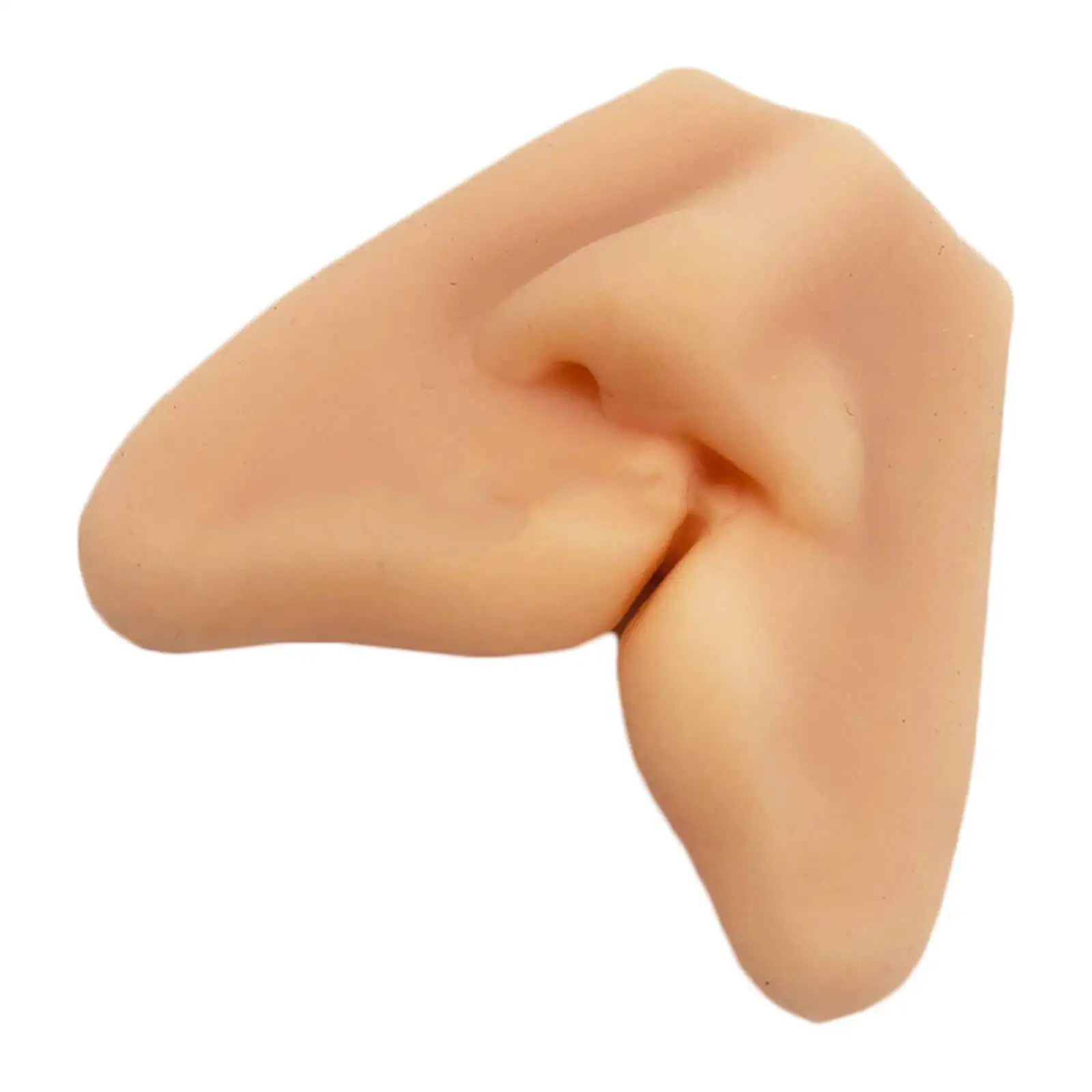 Medical cleft lip and palate closure model cleft lip suture exercise module