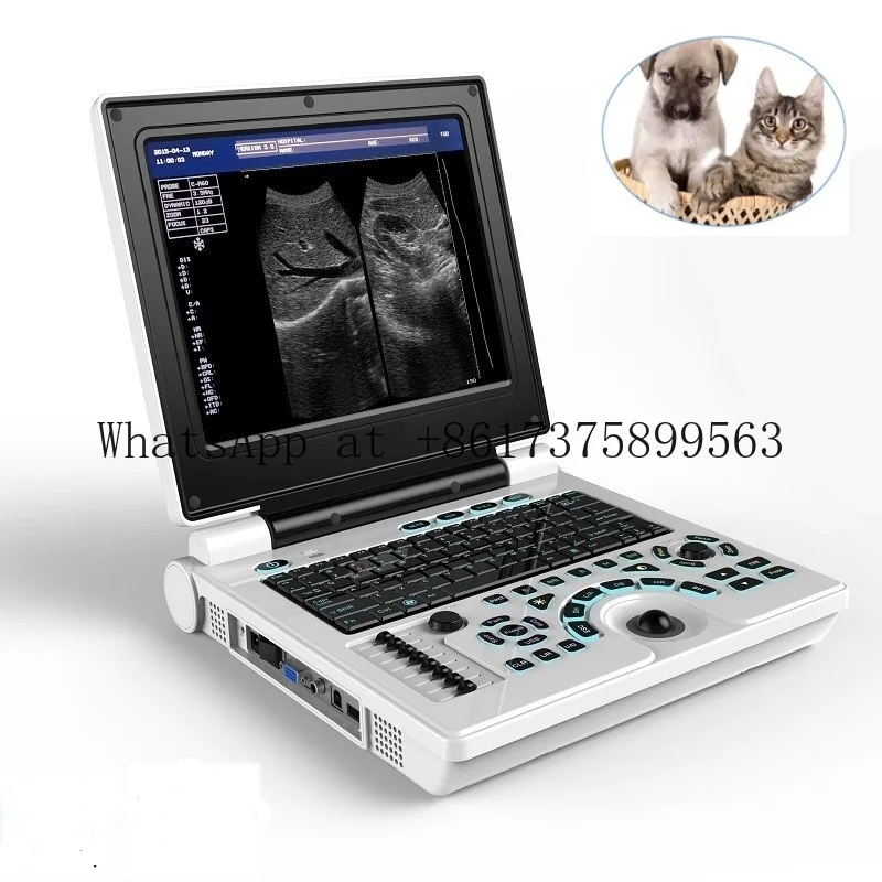 12 Inch LED Screen Black White Animal Notebook Portable Pet Veterinary U ltrasound Scanner USG Machine