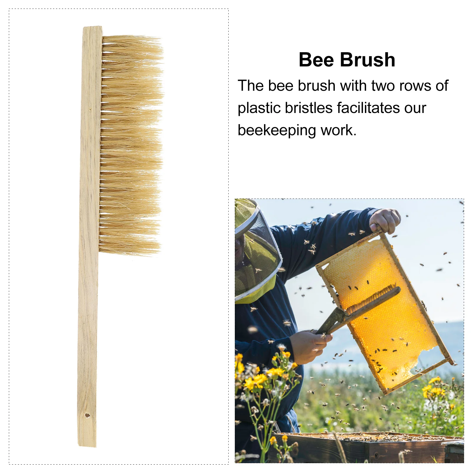 

Top Quality Beekeeping Ergonomic Wooden Handle Non Irritating Bristles Long Service Life Portable Hive Maintenance