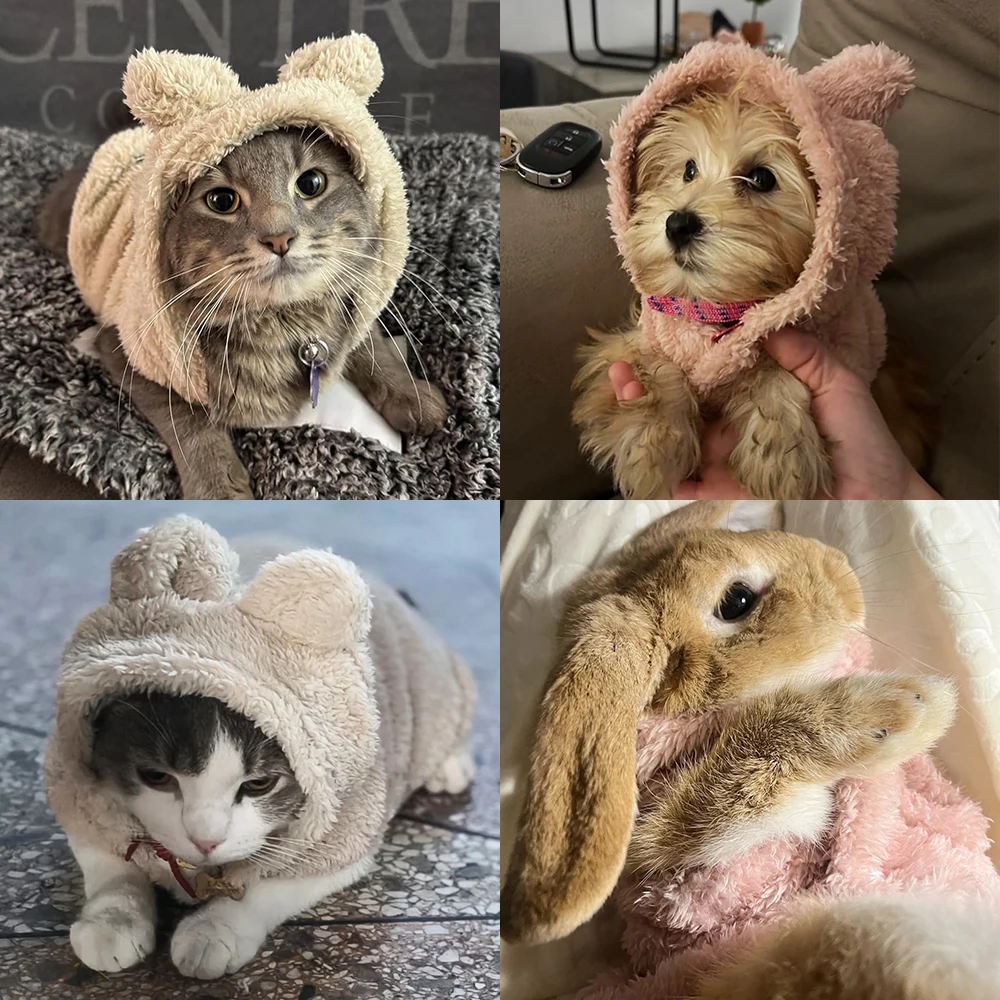Cute Ear Hoodie 5