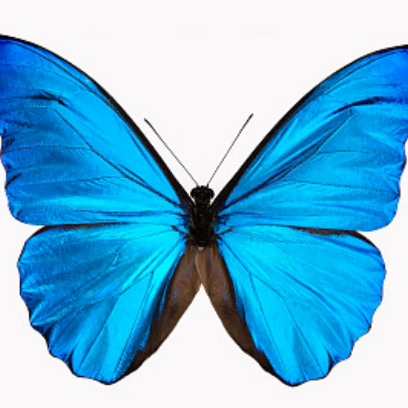 Aluminum Transmitter Protector Carrying Handle For Flysky NB4 / Noble Lite / PRO Controller Screen Frame Armor Upgrade Parts