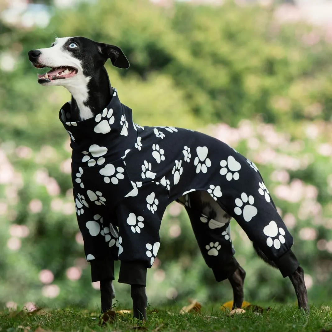 Pigiama per cani autunno inverno zampa di cane di taglia media stampata pigiama levriero tuta moda collo alto abbigliamento per animali domestici