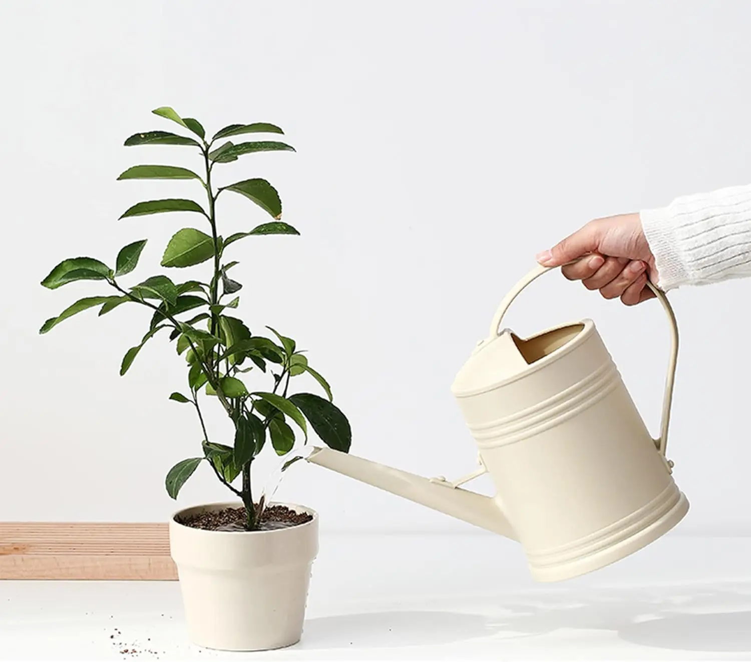 Thumbnail 4 - #54 Latest Watering Cans Offers